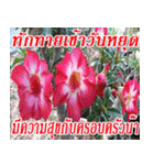 There is encouragement to everyone V.2（個別スタンプ：38）