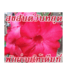 There is encouragement to everyone V.2（個別スタンプ：40）