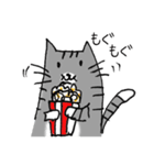 映画好きの猫たち（個別スタンプ：13）