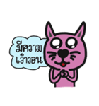 This it CAT or DOG（個別スタンプ：14）