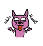 This it CAT or DOG（個別スタンプ：17）