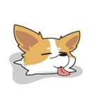 Bad Corgi（個別スタンプ：2）