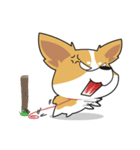 Bad Corgi（個別スタンプ：11）