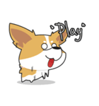 Bad Corgi（個別スタンプ：18）