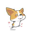 Bad Corgi（個別スタンプ：22）