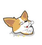 Bad Corgi（個別スタンプ：25）