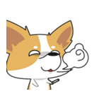 Bad Corgi（個別スタンプ：35）