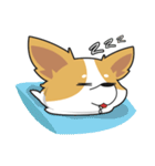 Bad Corgi（個別スタンプ：39）