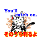 猫で英会話 よく使う英語編vol3（個別スタンプ：4）