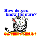 猫で英会話 よく使う英語編vol3（個別スタンプ：9）