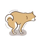 柴犬マメ（うろちょろver）（個別スタンプ：5）