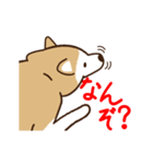 柴犬マメ（うろちょろver）（個別スタンプ：7）