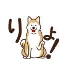 柴犬マメ（うろちょろver）（個別スタンプ：8）