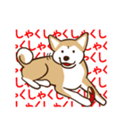 柴犬マメ（うろちょろver）（個別スタンプ：9）