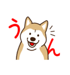 柴犬マメ（うろちょろver）（個別スタンプ：11）