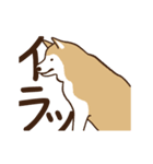 柴犬マメ（うろちょろver）（個別スタンプ：13）