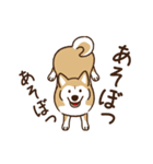 柴犬マメ（うろちょろver）（個別スタンプ：16）