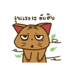 Moo Krob Cat Bangs（個別スタンプ：1）