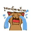 Moo Krob Cat Bangs（個別スタンプ：5）