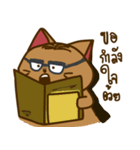 Moo Krob Cat Bangs（個別スタンプ：8）
