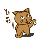 Moo Krob Cat Bangs（個別スタンプ：16）
