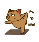 Moo Krob Cat Bangs（個別スタンプ：17）