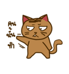 Moo Krob Cat Bangs（個別スタンプ：26）