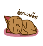 Moo Krob Cat Bangs（個別スタンプ：29）