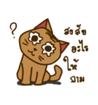 Moo Krob Cat Bangs（個別スタンプ：31）