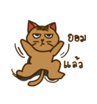 Moo Krob Cat Bangs（個別スタンプ：32）