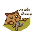 Moo Krob Cat Bangs（個別スタンプ：35）