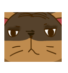 Moo Krob Cat Bangs（個別スタンプ：37）