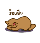 Moo Krob Cat Bangs（個別スタンプ：39）