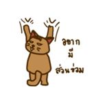 Moo Krob Cat Bangs（個別スタンプ：40）