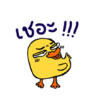 TidChung Duck（個別スタンプ：6）