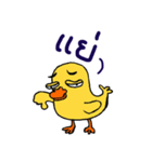 TidChung Duck（個別スタンプ：20）