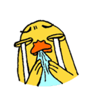 TidChung Duck（個別スタンプ：40）