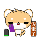 Sunny Day Shiba Inu (Haha)（個別スタンプ：22）