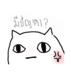 cat stillness face（個別スタンプ：3）