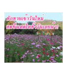 There is encouragement to everyone（個別スタンプ：9）