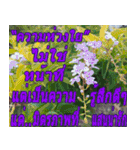 There is encouragement to everyone（個別スタンプ：22）