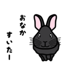 ウサギの「うさぎ」（個別スタンプ：3）