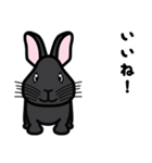 ウサギの「うさぎ」（個別スタンプ：5）