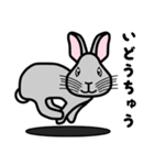 ウサギの「うさぎ」（個別スタンプ：13）