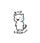ゆるーく話すの白にゃんこ（個別スタンプ：12）
