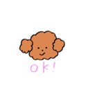 プードルのくりんちゃん（個別スタンプ：1）