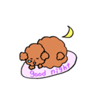 プードルのくりんちゃん（個別スタンプ：6）