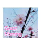 Good Morning Flowers（個別スタンプ：1）