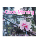 Good Morning Flowers（個別スタンプ：26）