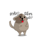 TongTong ＆ JuJu（個別スタンプ：5）